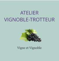ATELIER VIGNOBLE-TROTTEUR Vigne et Vignoble