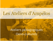 Ateliers pédagogiques Oeno-culturels Les Ateliers d’Ampélos