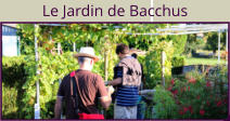 Le Jardin de Bacchus