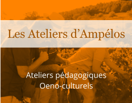 Ateliers pédagogiques Oeno-culturels Les Ateliers d’Ampélos