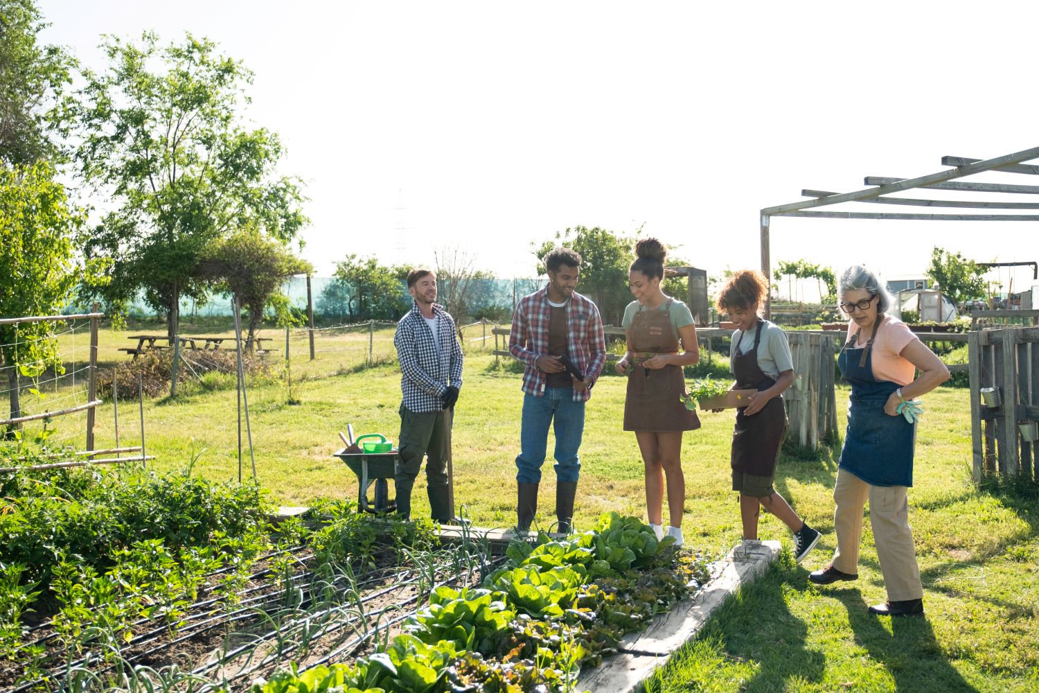 Come and learn about agriculture.